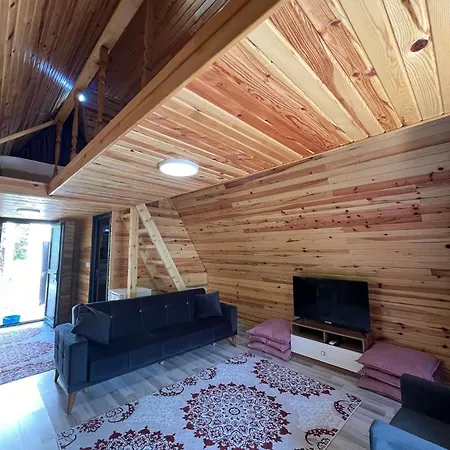 Five Stars Apart 4* 트라존