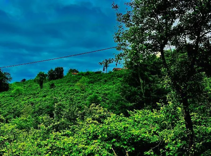 Hotel Five Stars Apart