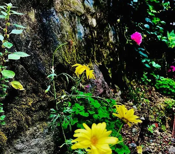 Five Stars Apart Hotel Trabzon