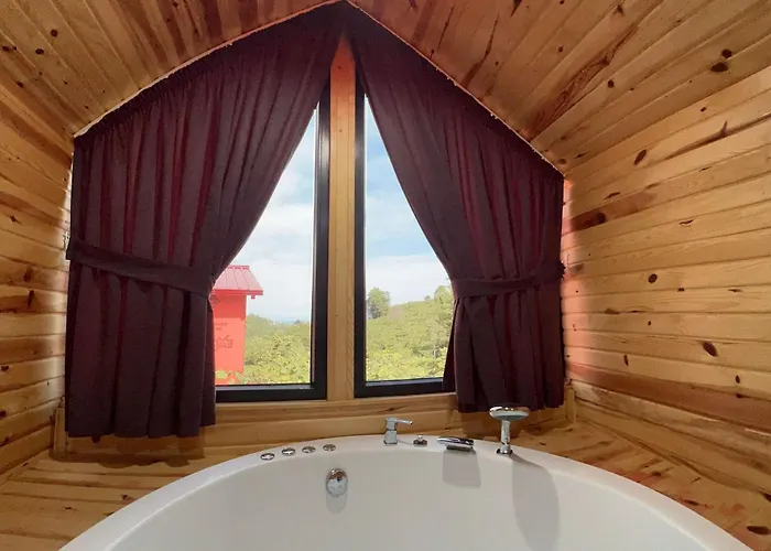 Hotel Five Stars Apart 4*