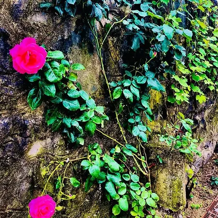 Five Stars Apart فندق