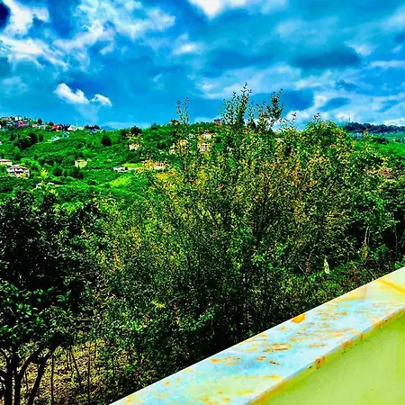 Five Stars Apart فندق ترابزون