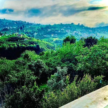 Five Stars Apart 4* ترابزون