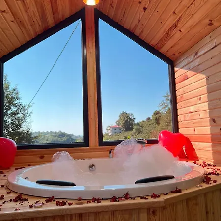 Five Stars Apart فندق ترابزون