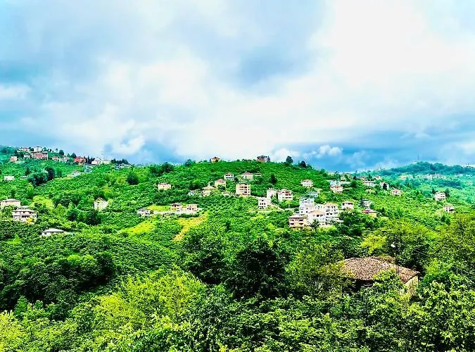 Hotel Five Stars Apart Trabzon