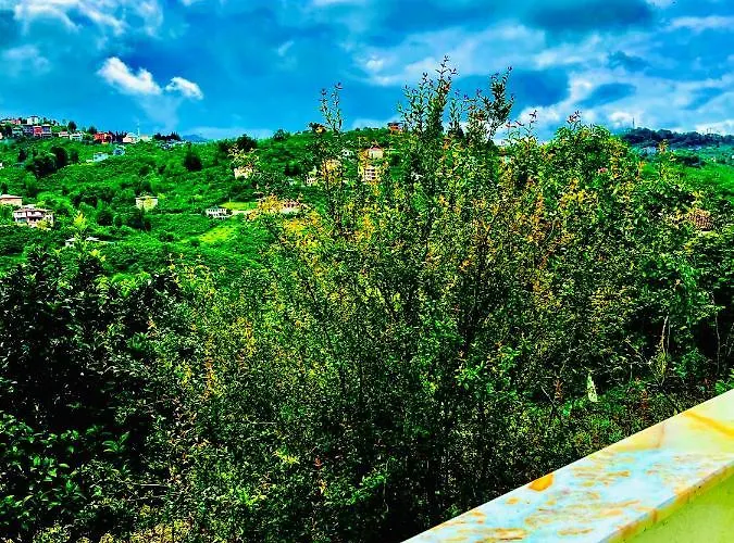 Five Stars Apart Hotel Trabzon