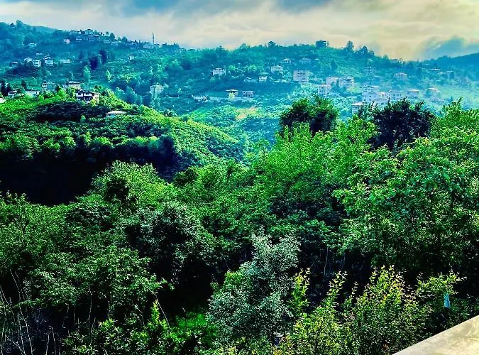 Five Stars Apart 4* Trabzon